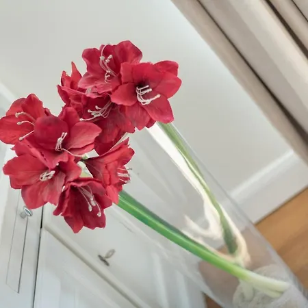 Residenz Bismarck Whg 21